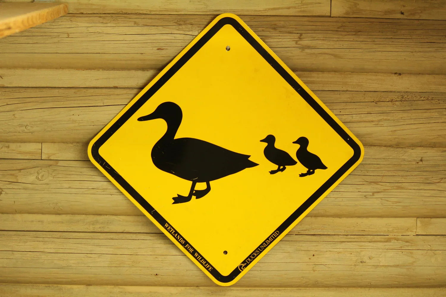 Duck Stuff+