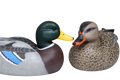 Mallard Carving Pair
