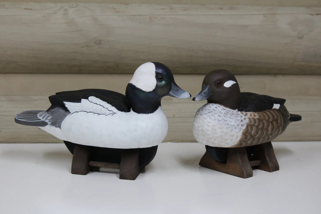 Buffleheads