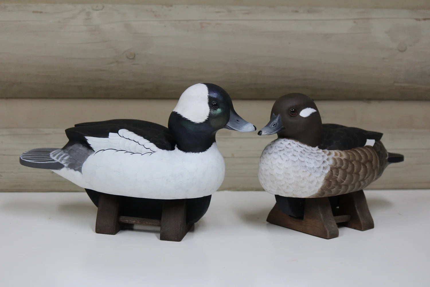 Buffleheads