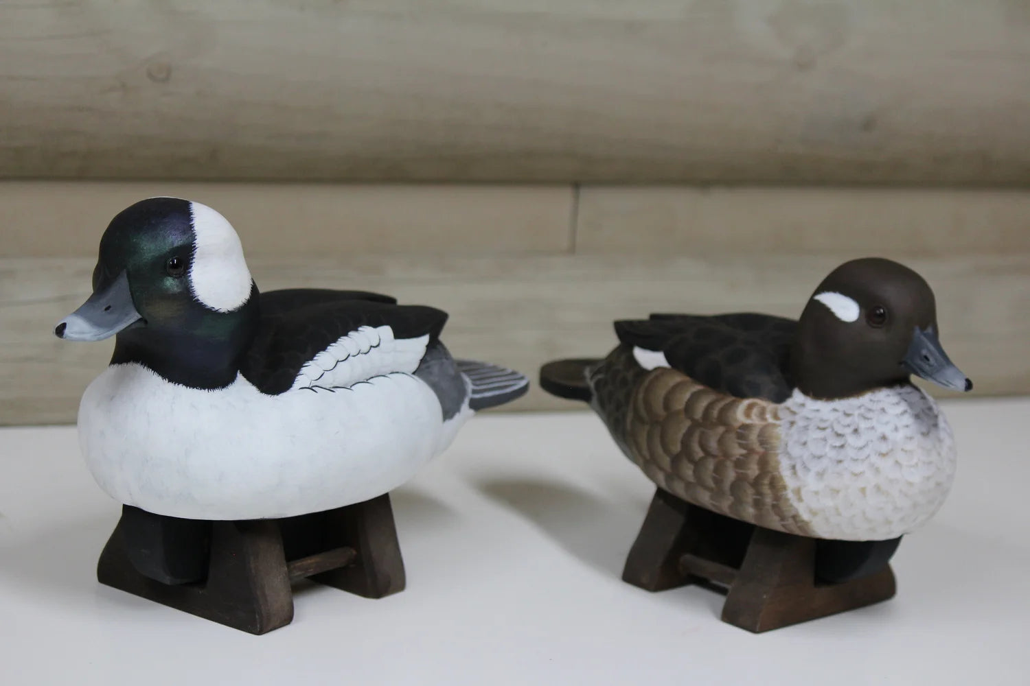 Buffleheads