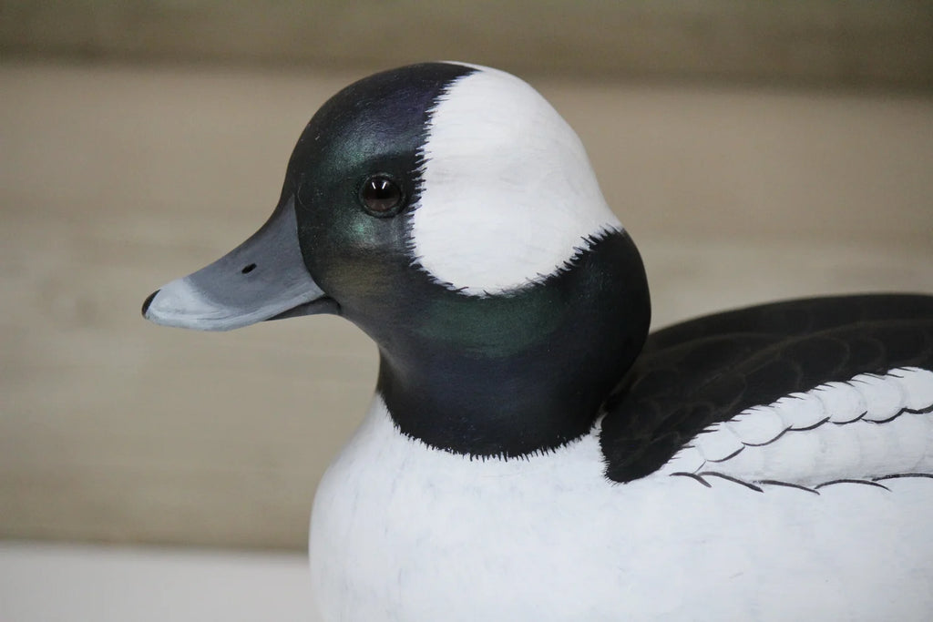 Buffleheads