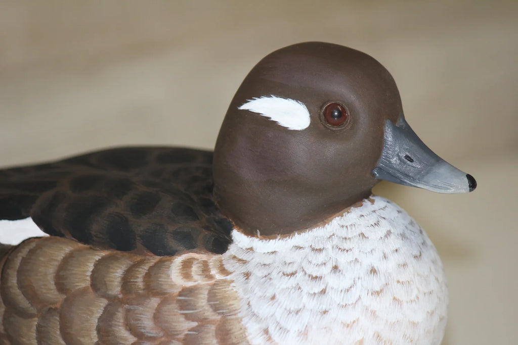 Buffleheads