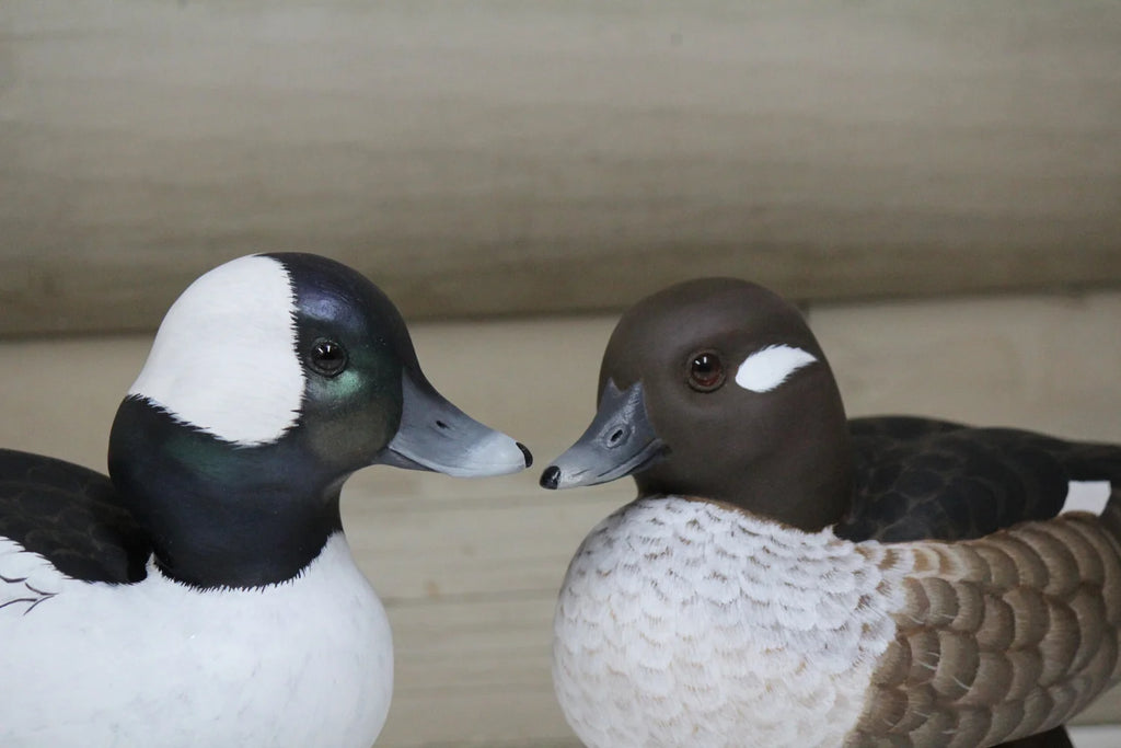 Buffleheads