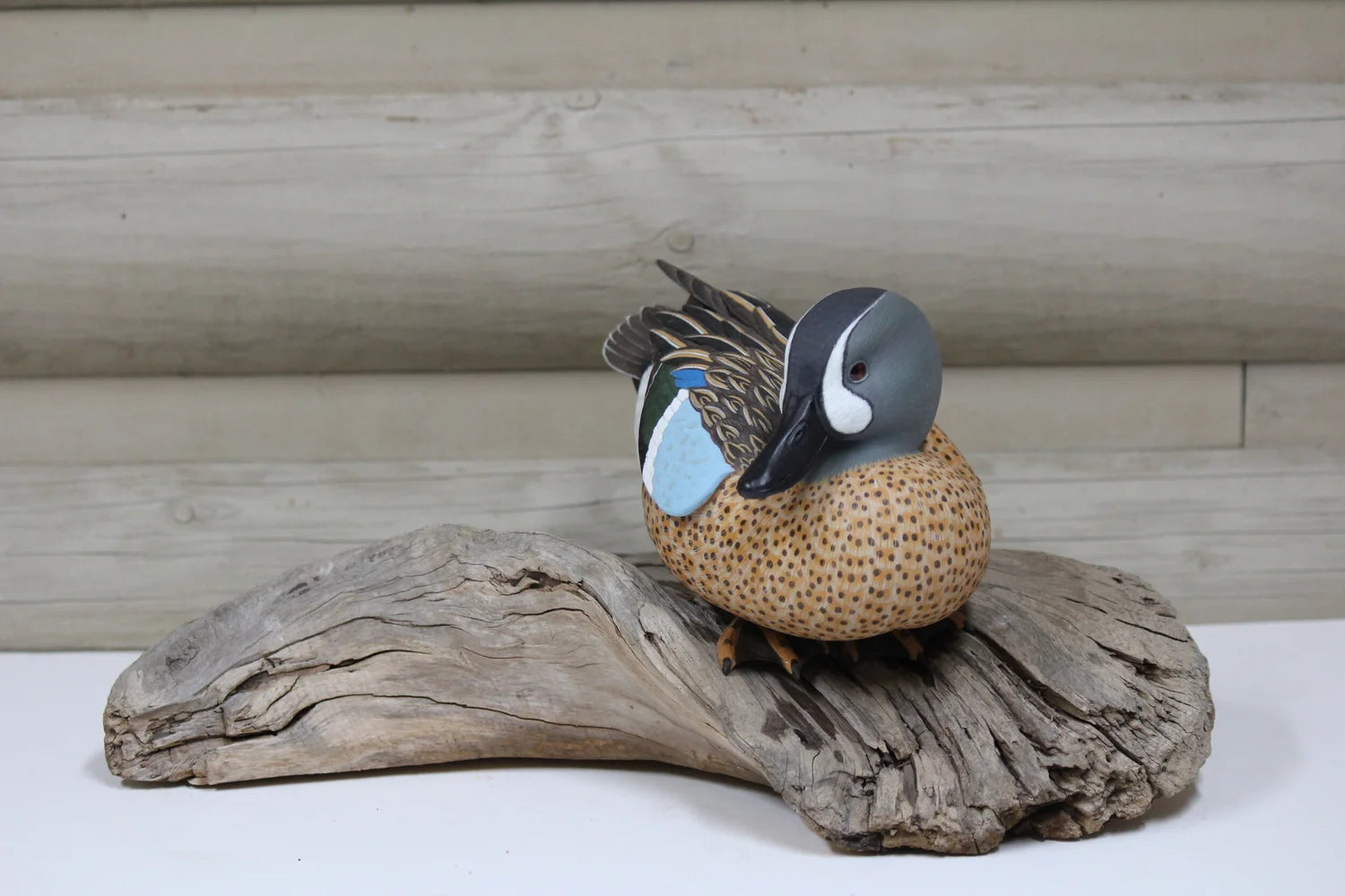 Blue Winged Teal