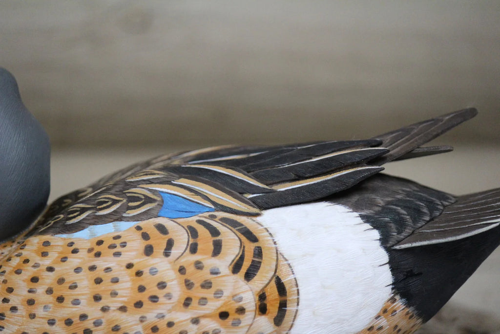 Blue Winged Teal