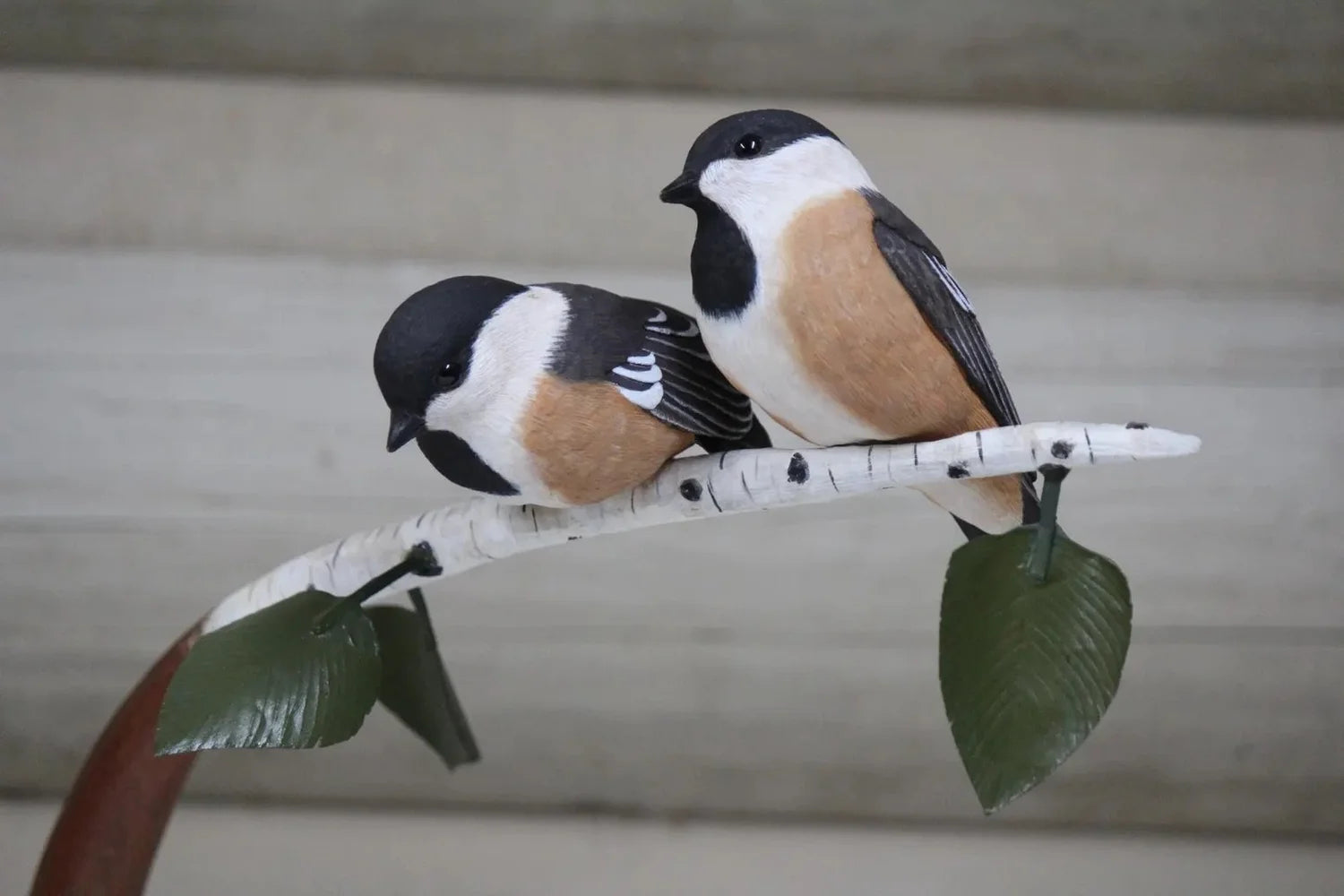 Chickadee