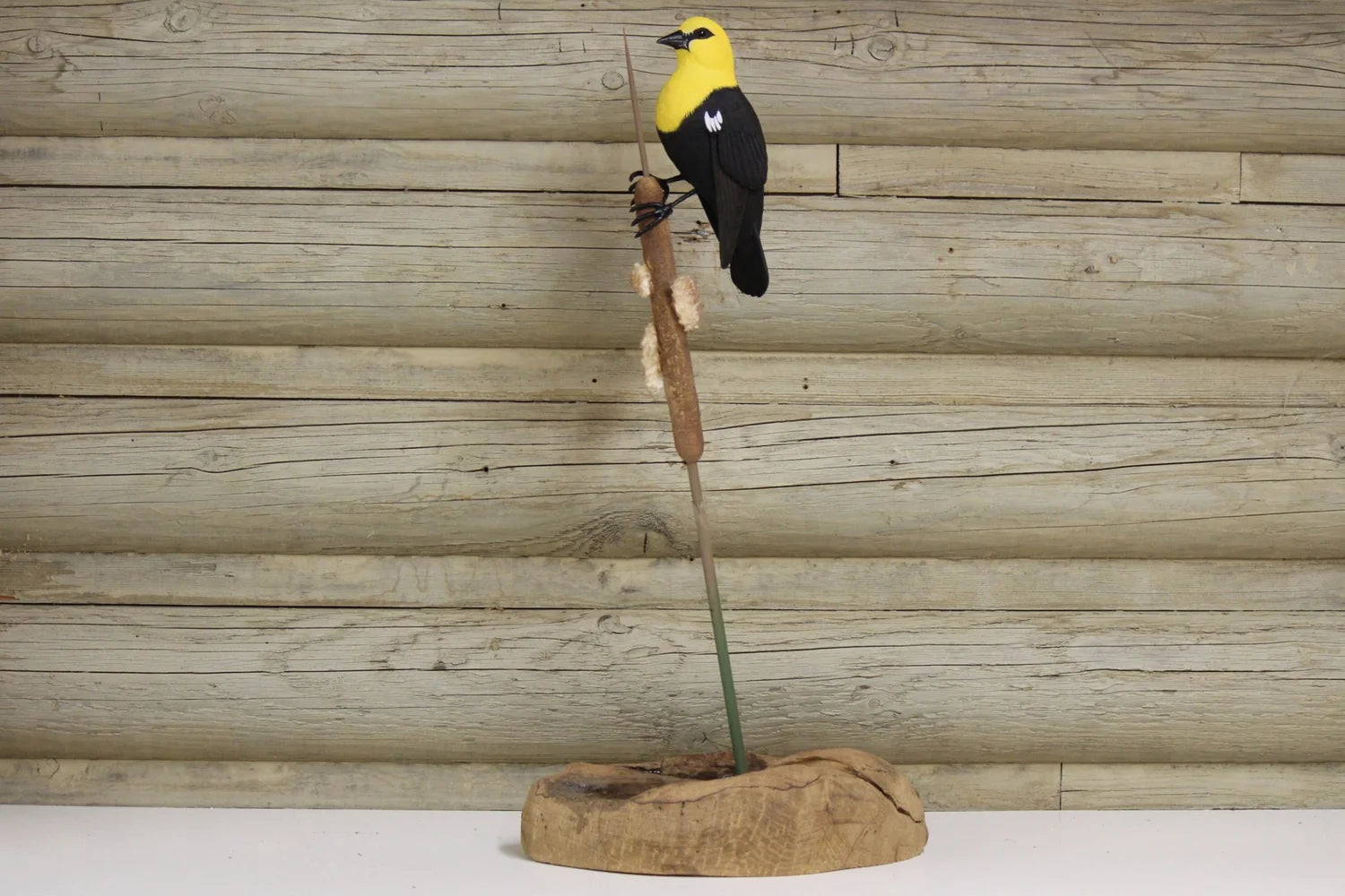 Yellow Headed Blackbird