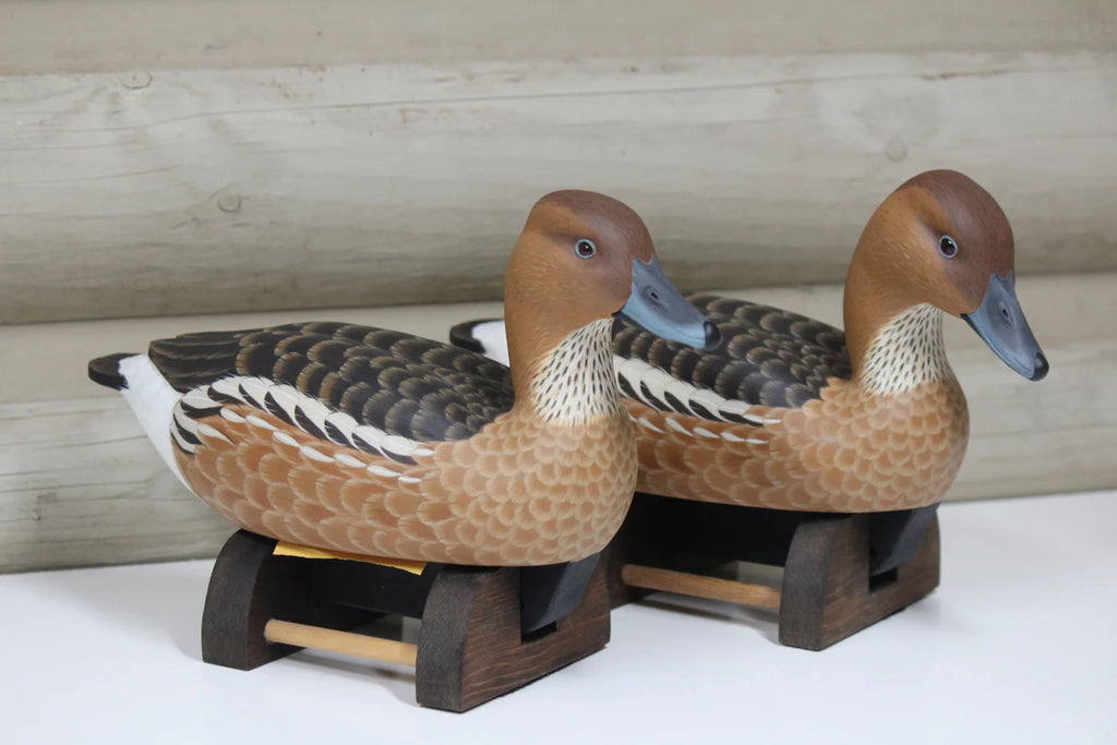 Fulvous Whistling Ducks