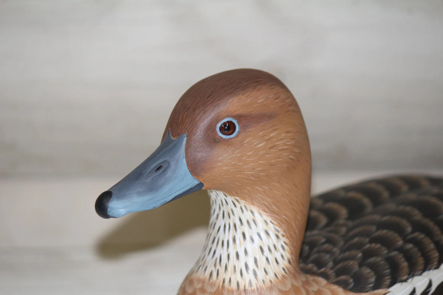 Fulvous Whistling Ducks