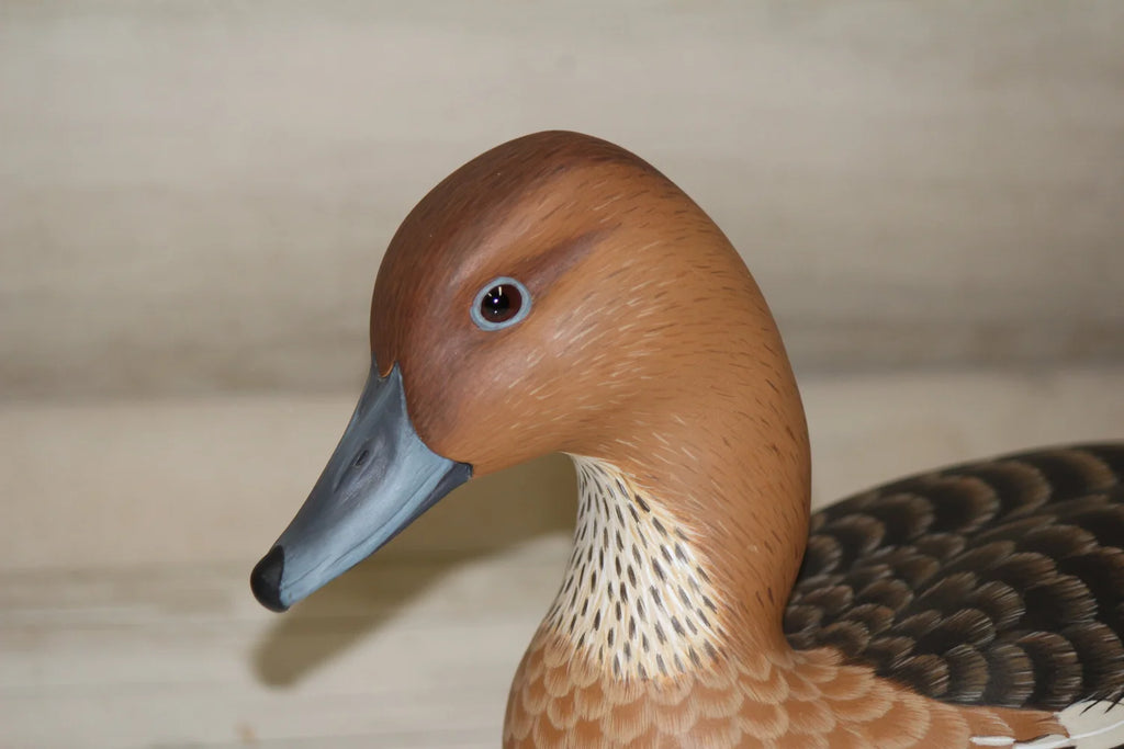 Fulvous Whistling Ducks