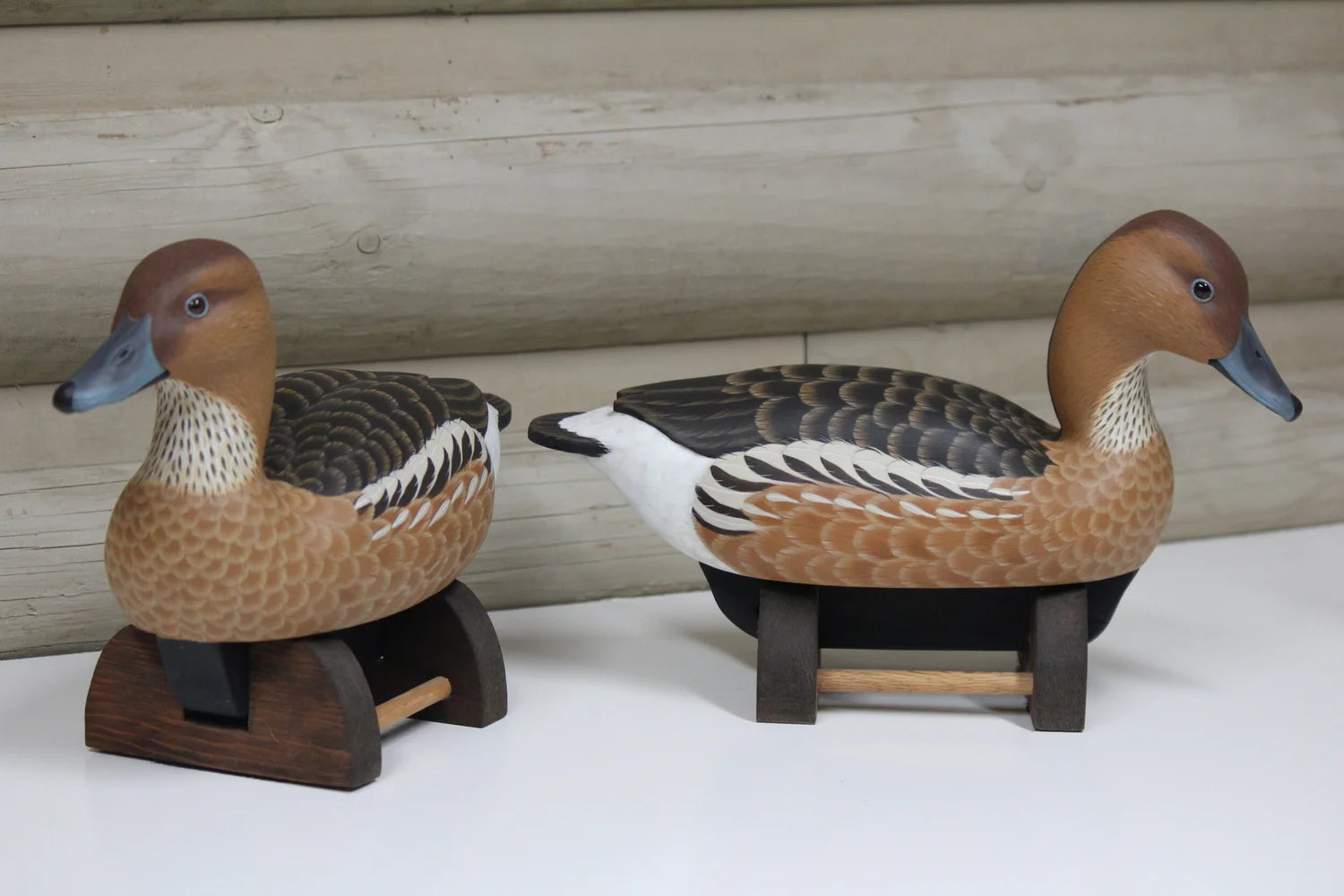 Fulvous Whistling Ducks
