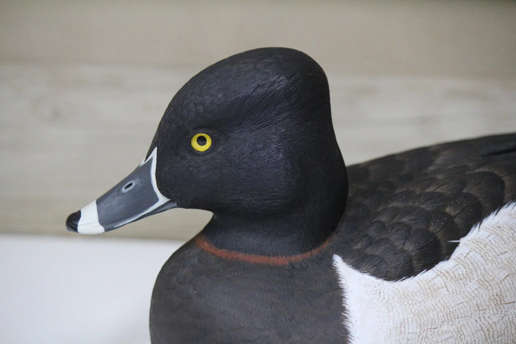 Ring Necks