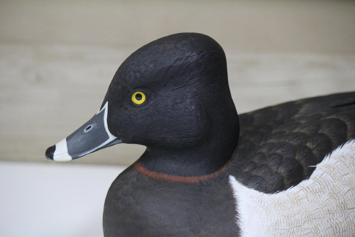 Ring Necks