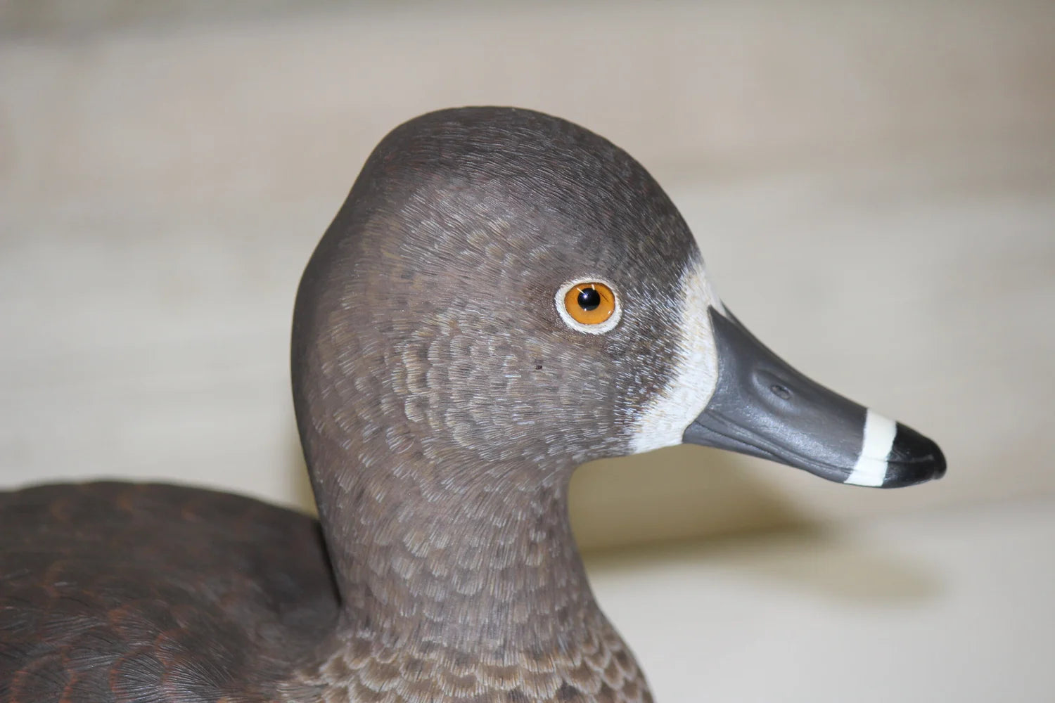 Ring Necks