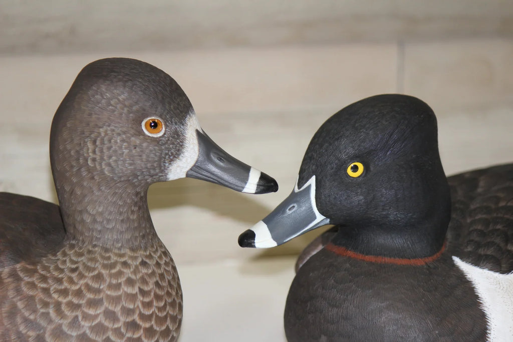 Ring Necks