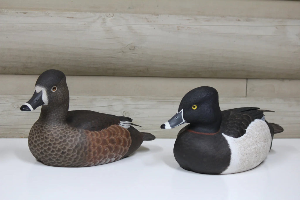 Ring Necks