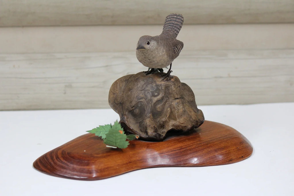 House Wren