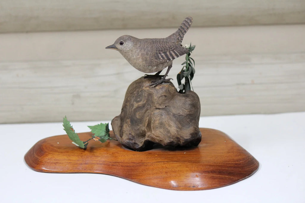 House Wren