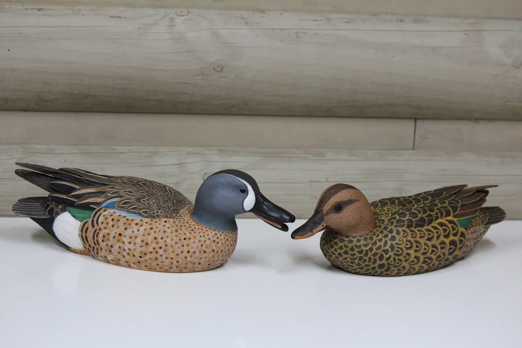 Blue Winged Teals
