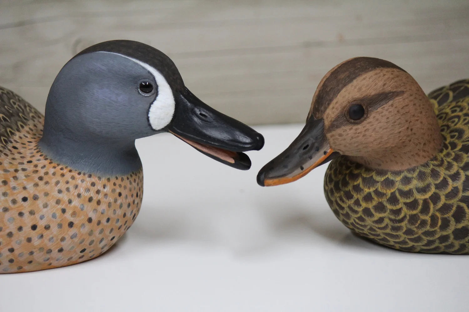 Blue Winged Teals