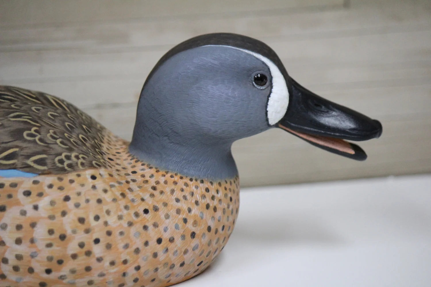 Blue Winged Teals
