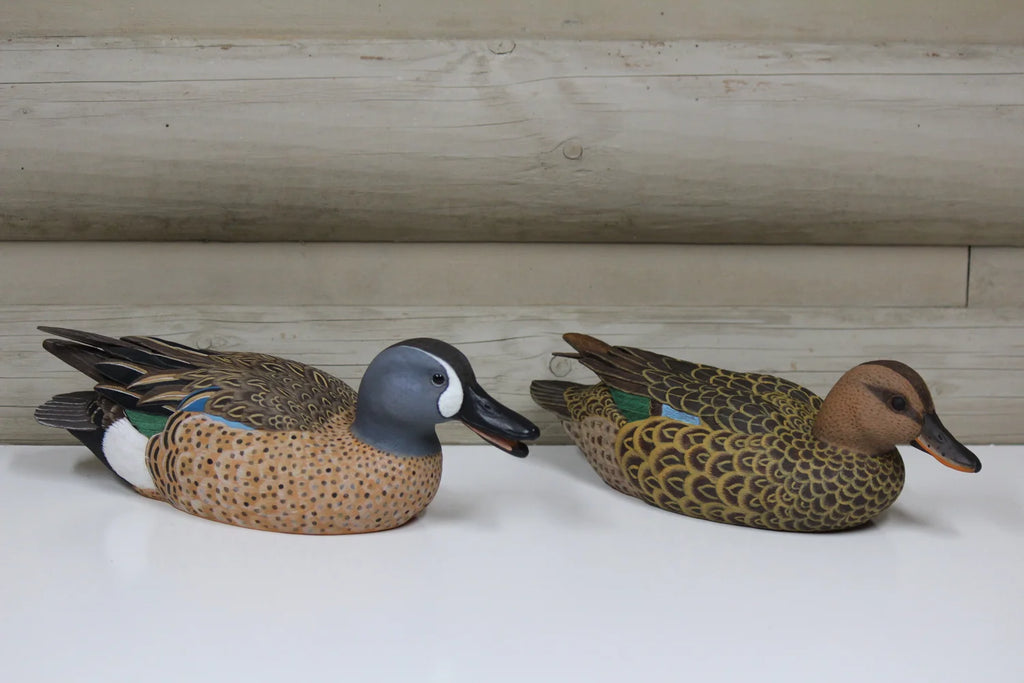 Blue Winged Teals
