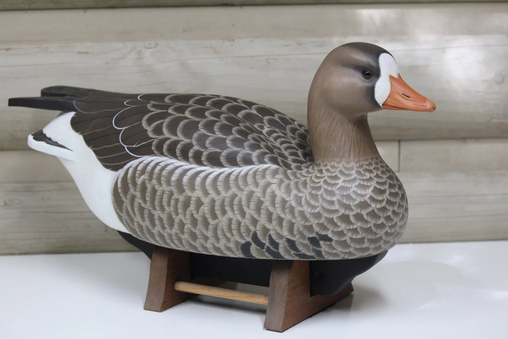 Specklebelly Goose