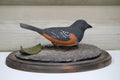 Spotted Towhee