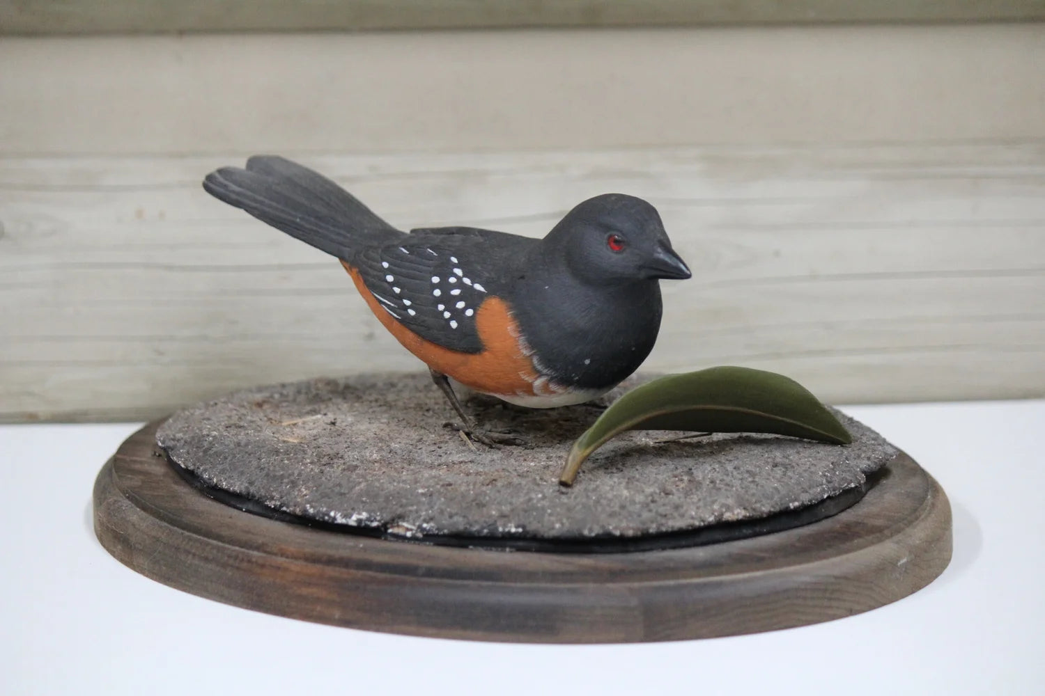 Spotted Towhee