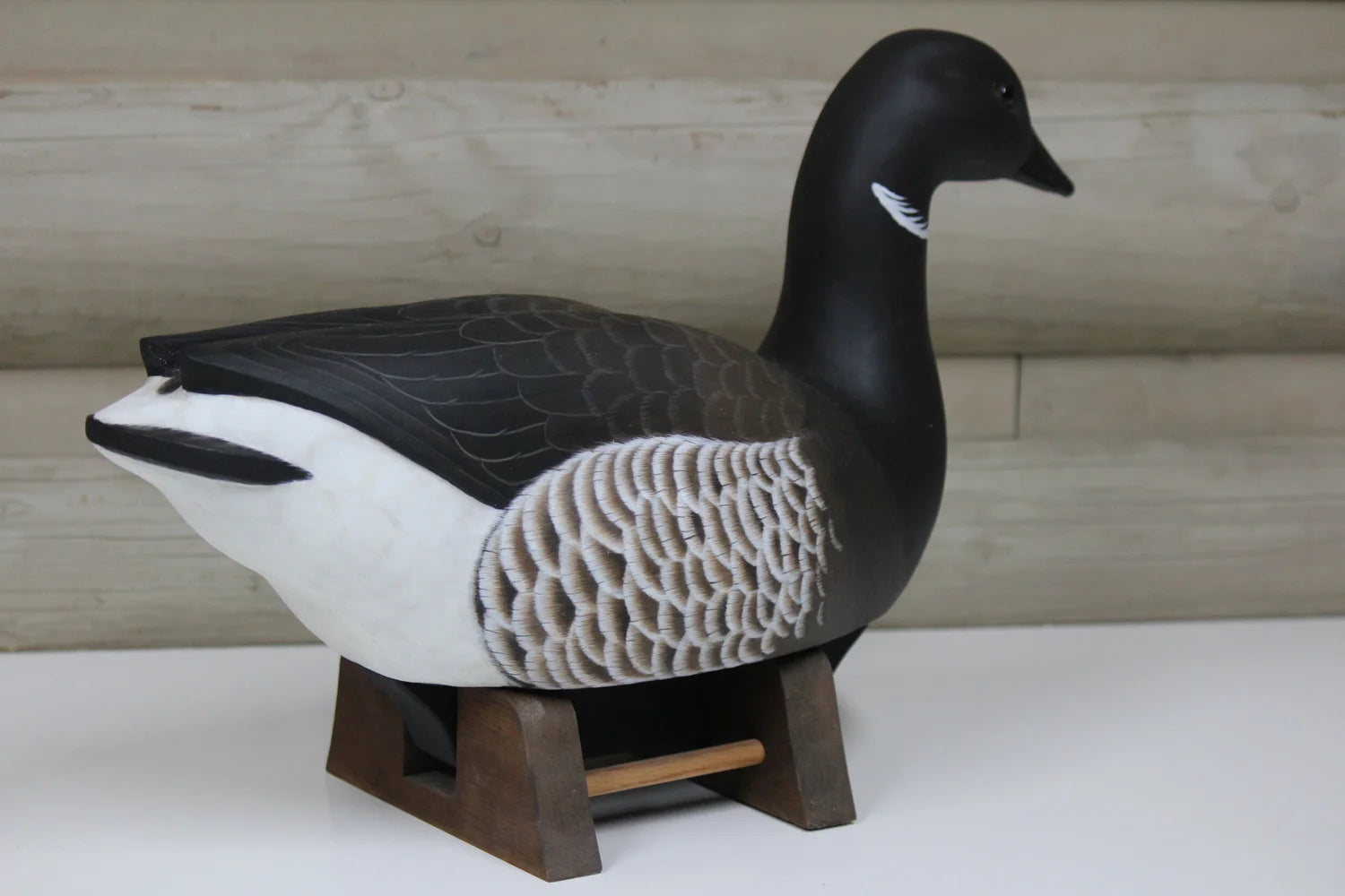Pacific Brant