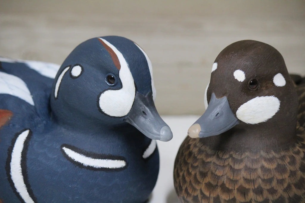 Harlequins