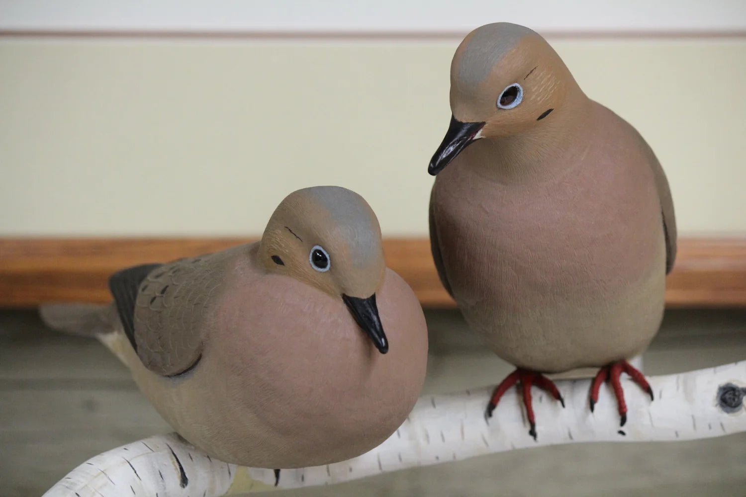Mourning Doves