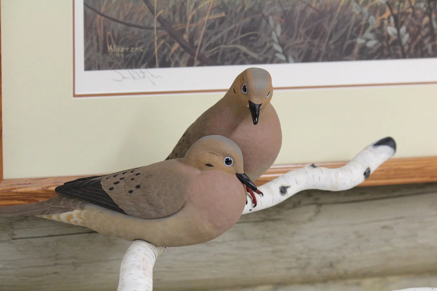 Mourning Doves
