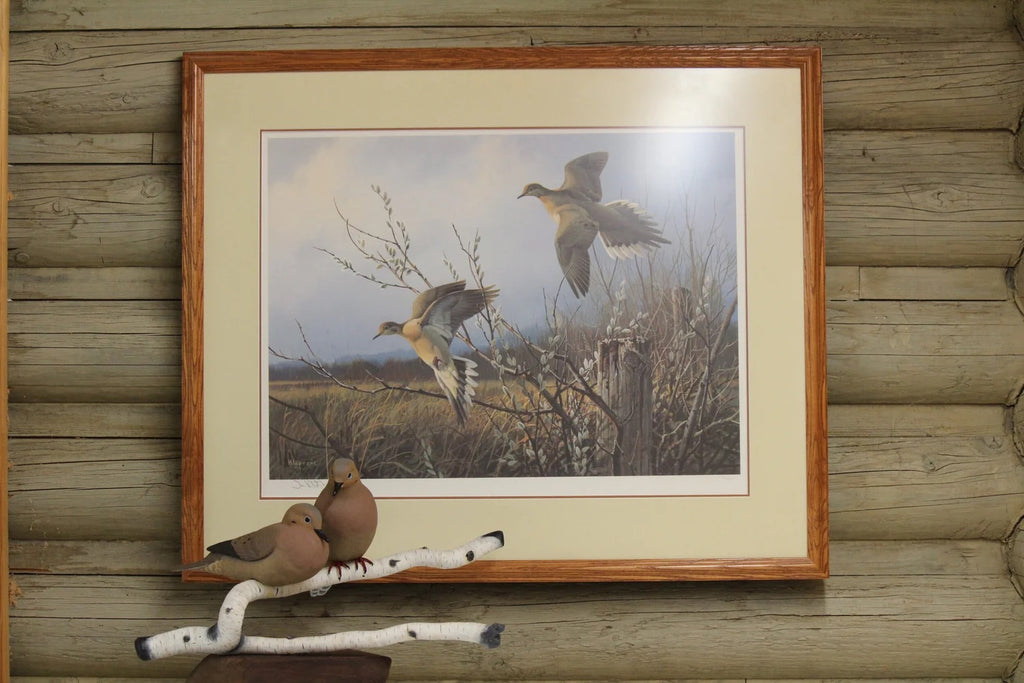 Mourning Doves