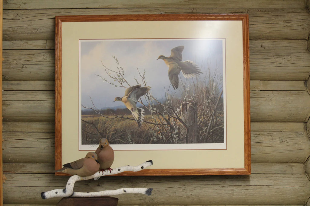 Mourning Doves