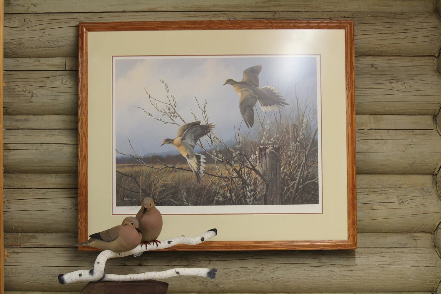 Mourning Doves