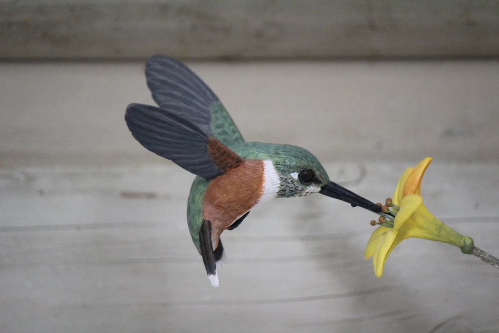 Hummingbird