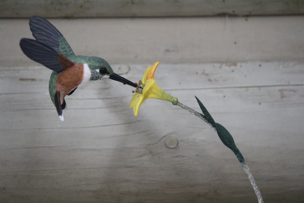 Hummingbird