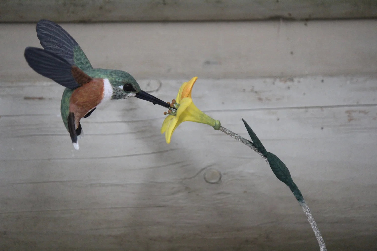 Hummingbird