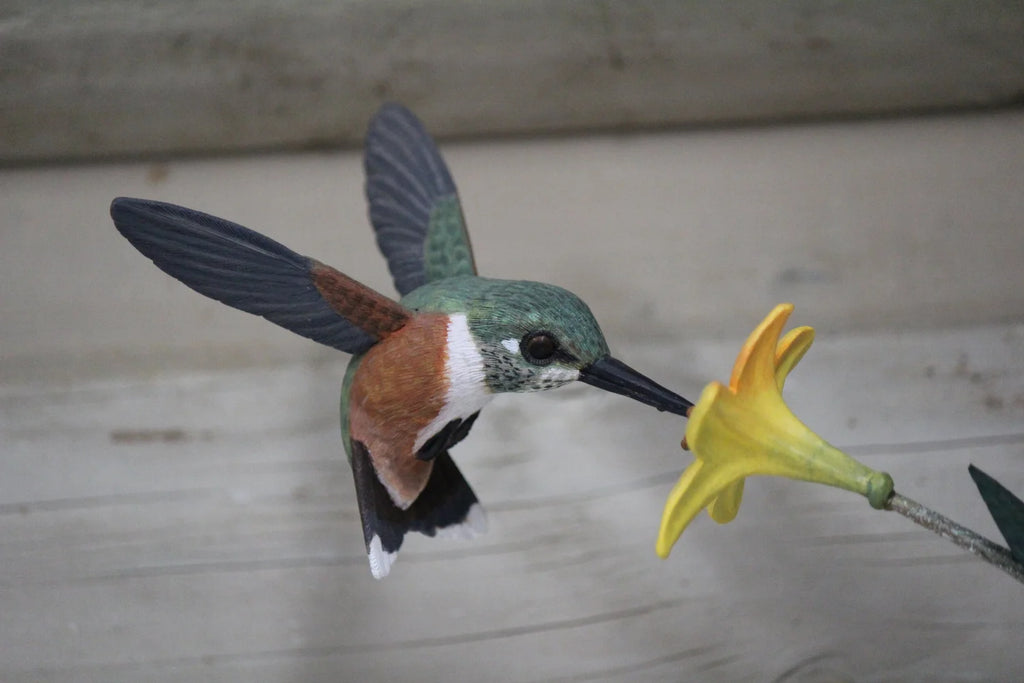 Hummingbird