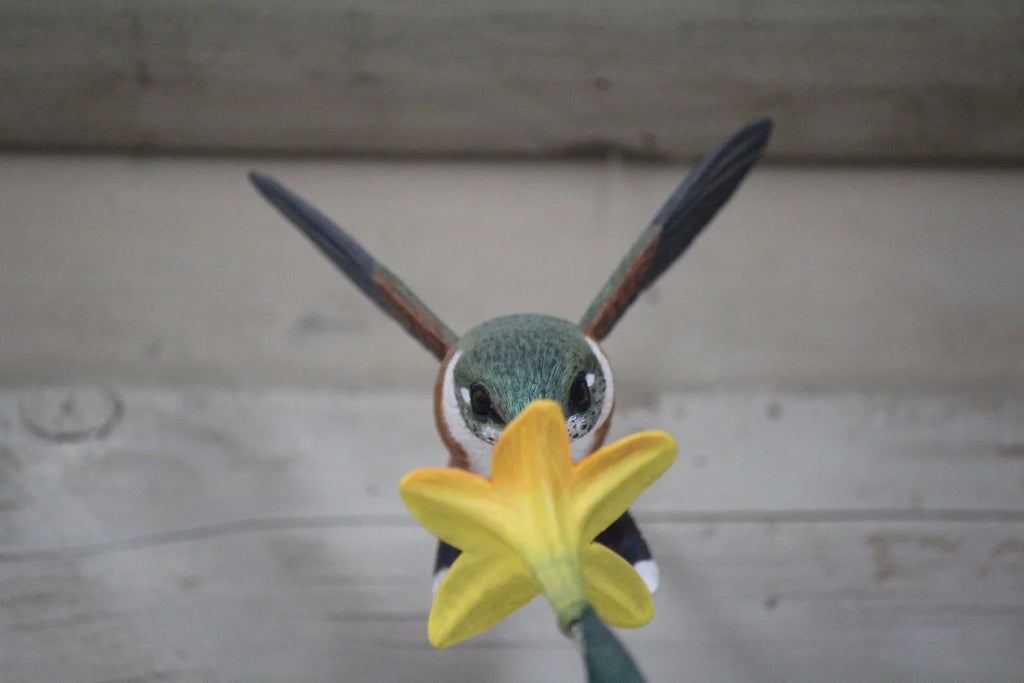Hummingbird
