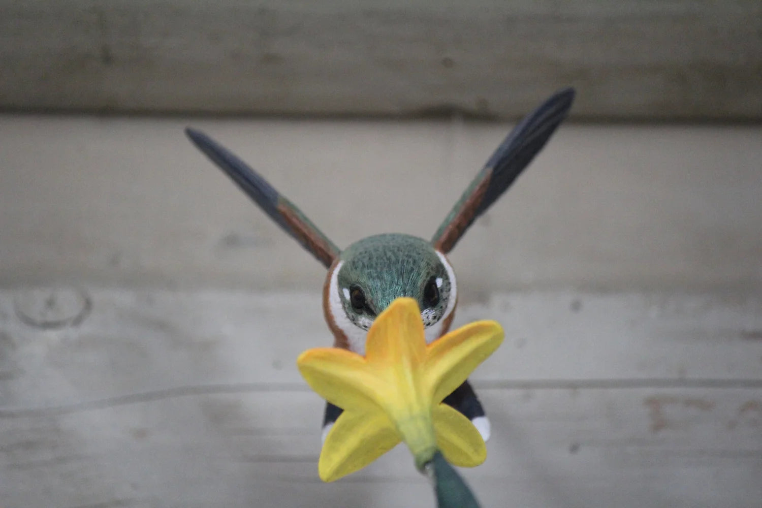 Hummingbird