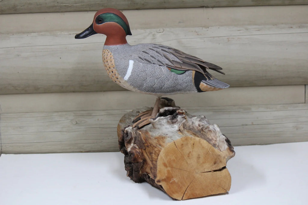 Green-winged Teal Drake