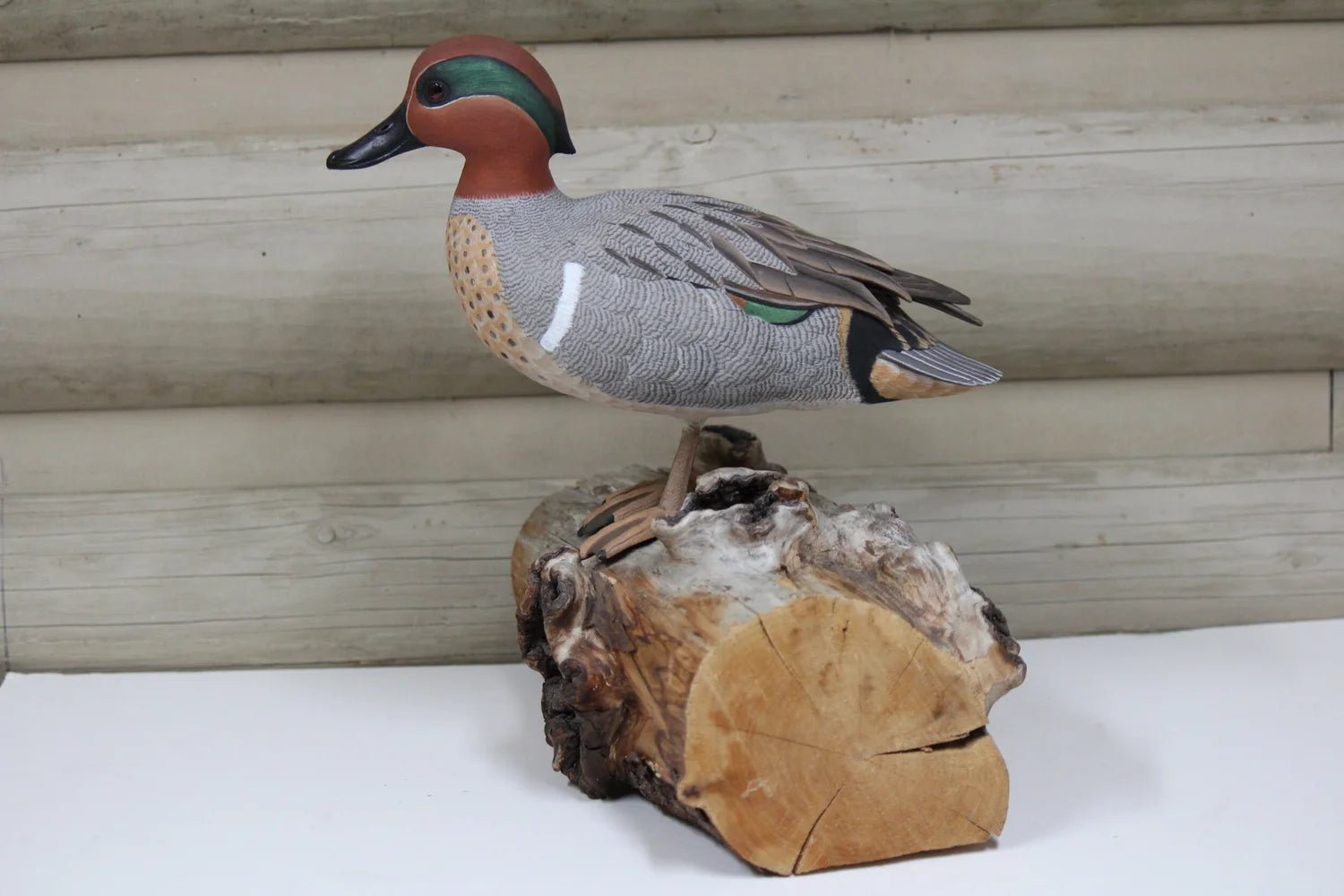 Green-winged Teal Drake