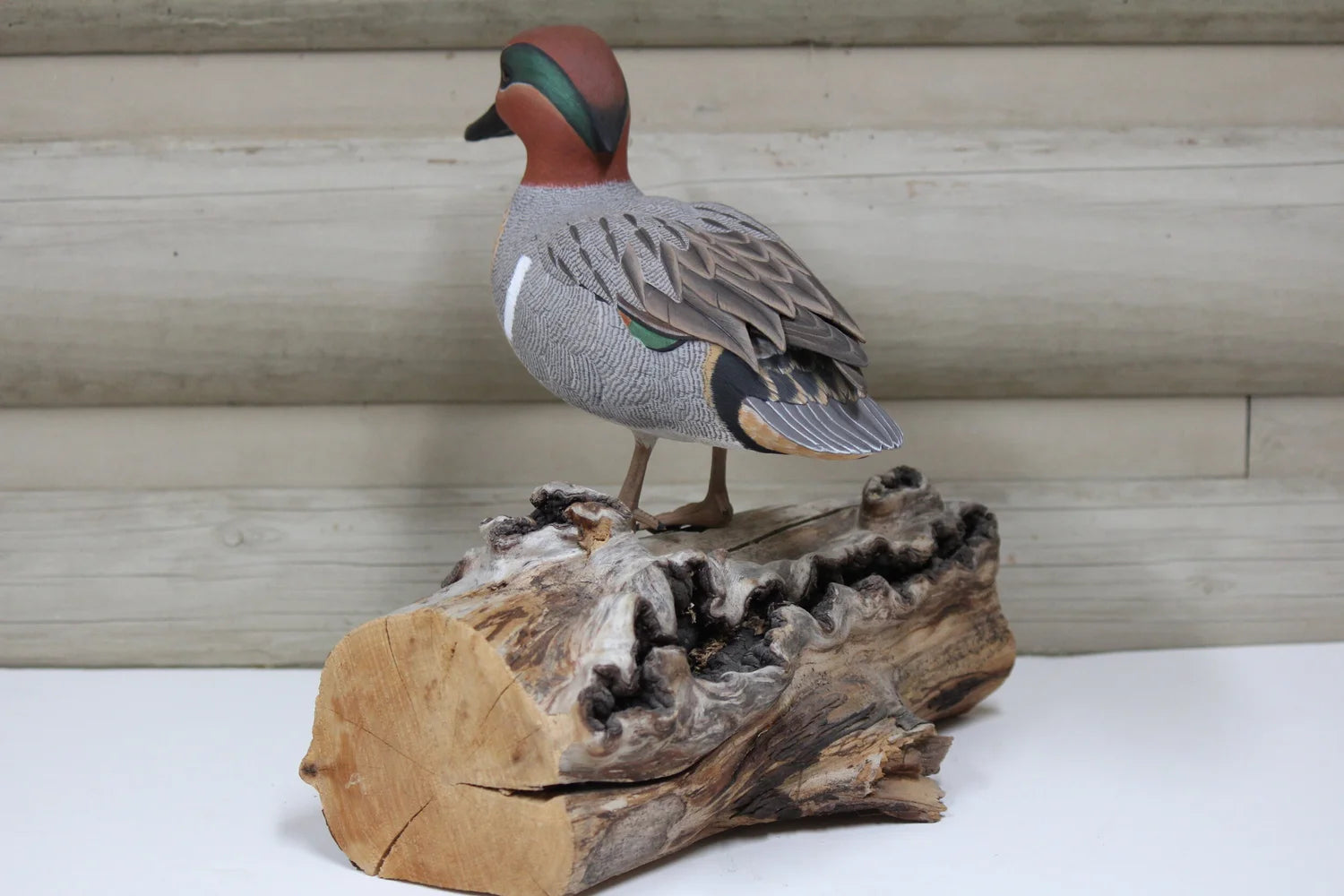 Green-winged Teal Drake