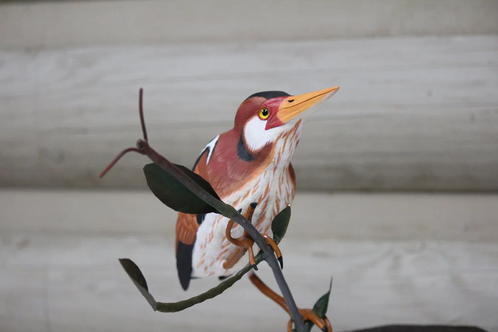 Least Bittern