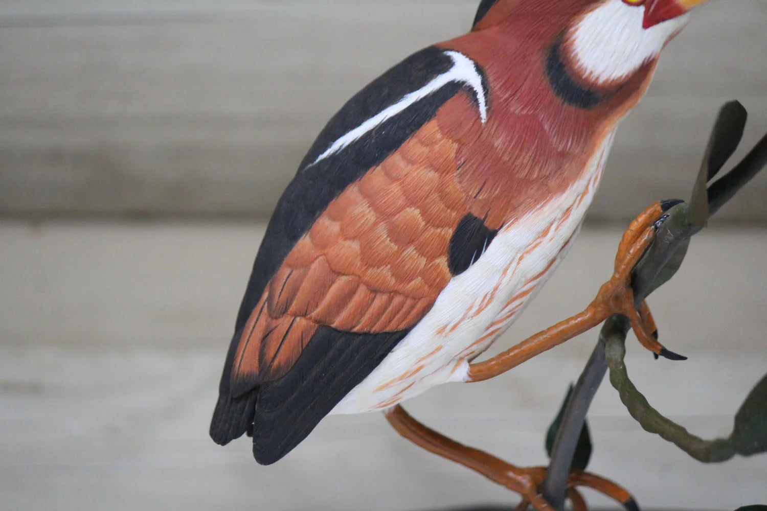 Least Bittern