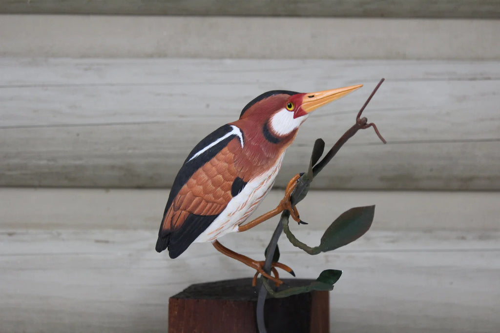 Least Bittern