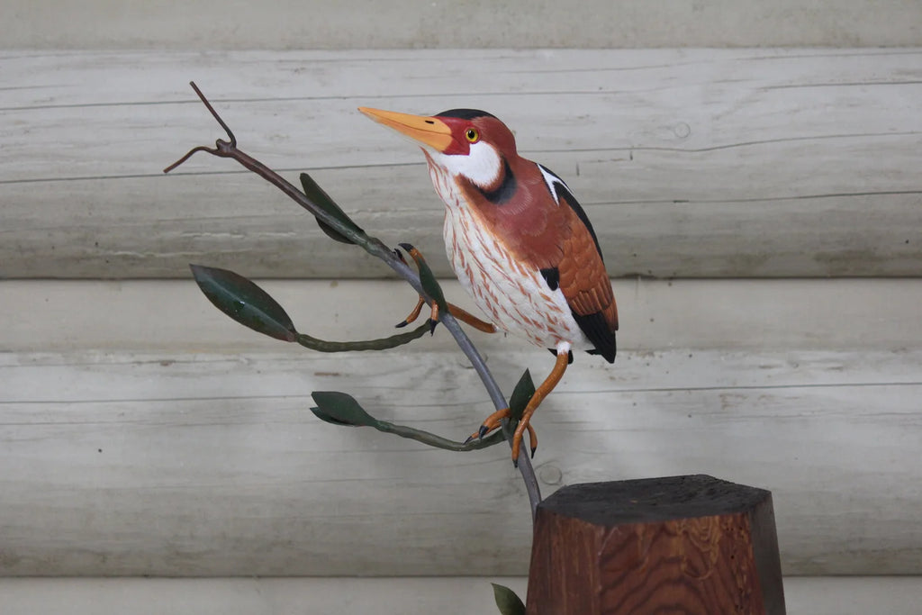 Least Bittern